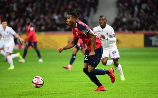 为这篇文章 为这篇文章